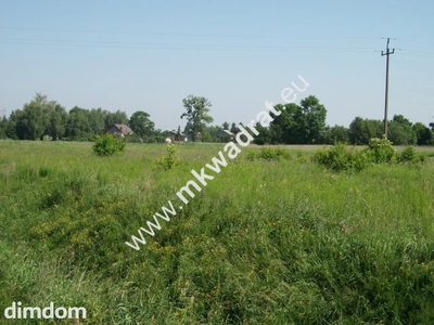 Działka rolna o powierzchni 8.188m2 zlokalizowana w miejscowości Bieniewice