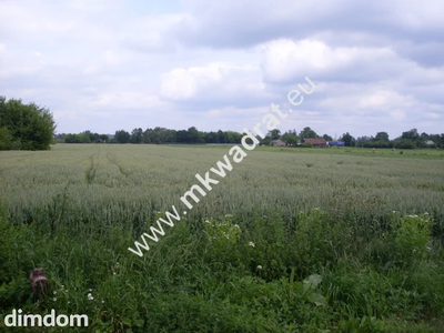 Ciekawa działka w bardzo dobrej cenie ( 58 pln za m2 w tym 3000m2 działki budowlanej).