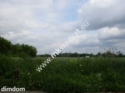 Ciekawa działka w bardzo dobrej cenie ( 58 pln za m2 w tym 3000m2 działki budowlanej). - 2