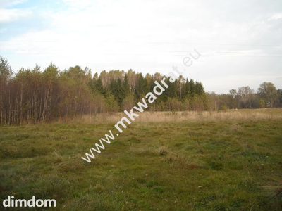 Działka o powierzchni 40.500m2 zlokalizowana w miejscowości Budy Grzybek