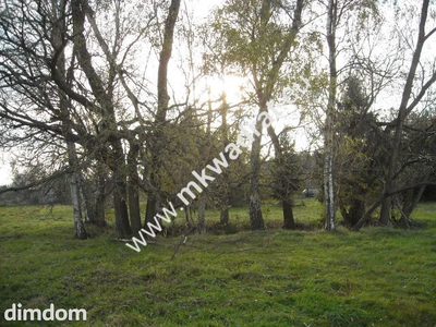 Działka o powierzchni 40.500m2 zlokalizowana w miejscowości Budy Grzybek - 3