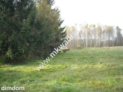 Działka o powierzchni 40.500m2 zlokalizowana w miejscowości Budy Grzybek - 2