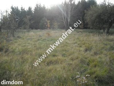 Działka o powierzchni 40.500m2 zlokalizowana w miejscowości Budy Grzybek - 4