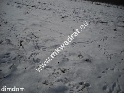 Działka inwestycyjna w miejscowości Płochocin o pow. 3000 m2. Działka do połączenia z innymi działkami. Tereny przeznaczone pod inwestycje o wielofunkcyjnym przeznaczeniu.