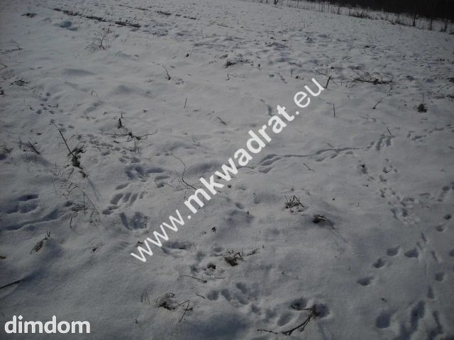 Działka inwestycyjna w miejscowości Płochocin o pow. 3000 m2. Działka do połączenia z innymi działkami. Tereny przeznaczone pod inwestycje o wielofunkcyjnym przeznaczeniu. - 18495688.jpg