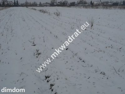 Działka inwestycyjna w miejscowości Płochocin o pow. 3000 m2. Działka do połączenia z innymi działkami. Tereny przeznaczone pod inwestycje o wielofunkcyjnym przeznaczeniu. - 2