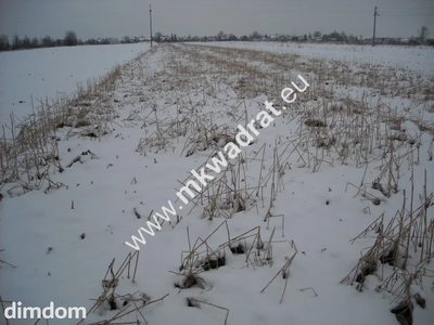 Działka inwestycyjna w Płochocinie ze zjazdem z drogi krajowej nr 2 o powierzchni 6200 m2.