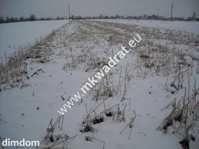 Działka inwestycyjna w Płochocinie ze zjazdem z drogi krajowej nr 2 o powierzchni 6200 m2. - 18495693.jpg