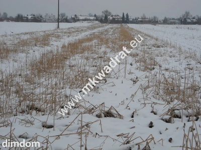 Działka inwestycyjna w Płochocinie ze zjazdem z drogi krajowej nr 2 o powierzchni 6200 m2. - 3