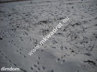 Działka inwestycyjna przy drodze krajowej nr 2 w  miejscowości Płochocin o powierzchni 5200 m2. Znakomicie zlokalizowana, niedaleko Warszawy. Istnieje  możliwość dokupienia działek przylegających.