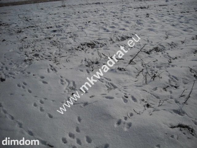 Działka inwestycyjna przy drodze krajowej nr 2 w  miejscowości Płochocin o powierzchni 5200 m2. Znakomicie zlokalizowana, niedaleko Warszawy. Istnieje  możliwość dokupienia działek przylegających. - 18495708.jpg