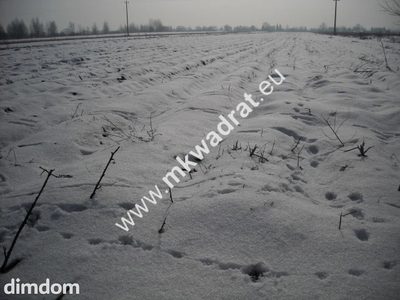 Działka inwestycyjna przy drodze krajowej nr 2 w  miejscowości Płochocin o powierzchni 5200 m2. Znakomicie zlokalizowana, niedaleko Warszawy. Istnieje  możliwość dokupienia działek przylegających. - 2