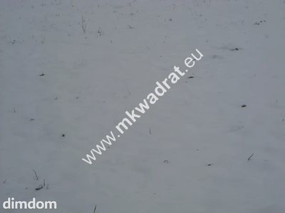 Działka inwestycyjna w miejscowości Płochocin o pow. 3000 m2. Istnieje możliwość połączenia z innymi działkami. Tereny przeznaczone dla potencjalnych działań inwestycyjnych o wielofunkcyjnym przeznac… - 2
