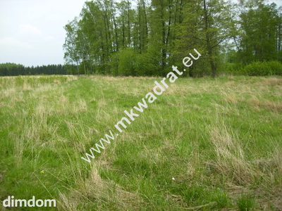 Działka budowlana o wymiarach 40 x 27. Działka z wjazdem z dwóch stron od ulicy asfaltowej i od drogi wewnętrznej -  wygodna do zagospodarowania. Nieruchomość zgodnie z miejscowym planem zagospodarow… - 3