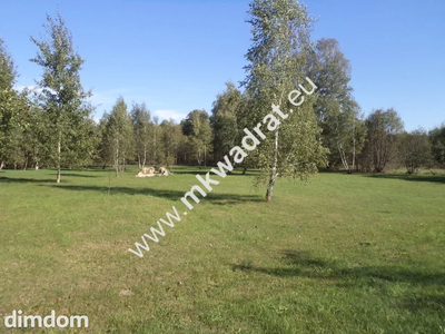 Działka połozona w Olszance Gmina Mszczonów. Okolica działki to nowo wybudowane domy, lasy oraz jezioro. Dojazd do działki jest dobry asfaltem, ostatnie ok. 400 m drogą utwardzoną. Mozliwoścć dokupie… - 5