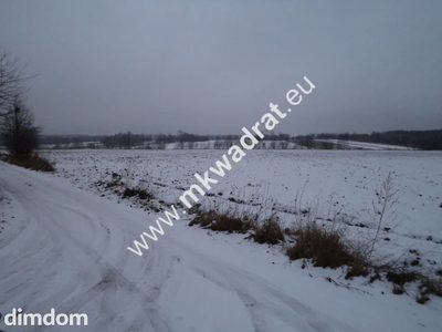 POMAGAMY W ZAKUPIE ZIEMI ROLNEJ ZGODNIE Z USTAWĄ OBOWIĄZUJĄCĄ DO MAJA 2016 R. - 5