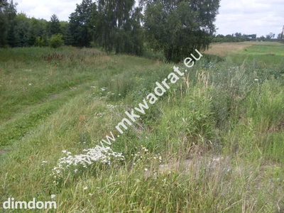 Działka o pow. 11124m2 o szer. 20m w Mszczonowie (+ 2 działki obok siebie do kupienia-łączna szer. 66m).