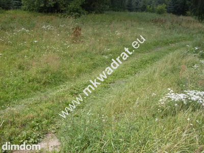 Działka o pow. 11124m2 o szer. 20m w Mszczonowie (+ 2 działki obok siebie do kupienia-łączna szer. 66m). - 2