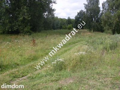 Działka o pow. 11124m2 o szer. 20m w Mszczonowie (+ 2 działki obok siebie do kupienia-łączna szer. 66m). - 4