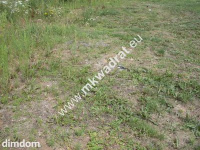 Działka o pow. 11124m2 o szer. 20m w Mszczonowie (+ 2 działki obok siebie do kupienia-łączna szer. 66m). - 5