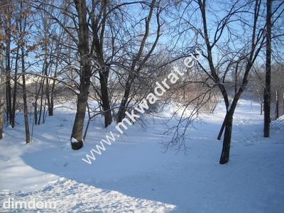 Super położenie i piękny kształt. - 2