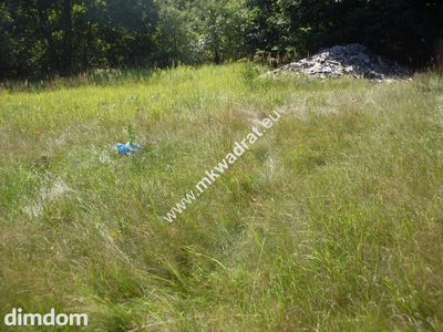 Bardzo ładna działka budowlana położona w miejscowości Kaski gm.Baranów o powierzchni 2803 m2.