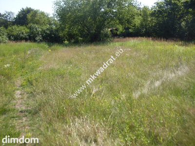 Bardzo ładna działka budowlana położona w miejscowości Kaski gm.Baranów o powierzchni 2803 m2. - 2