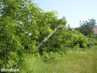 Bardzo ładna działka budowlana położona w miejscowości Kaski gm.Baranów o powierzchni 2803 m2. - 3