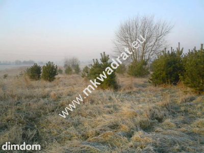 Teren pod inwestycje w gm.Teresin - 5