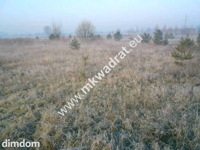 Teren pod inwestycje w gm.Teresin - 3