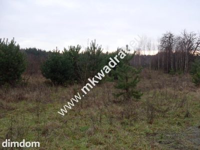 działka z pozwoleniem na budowę - 4