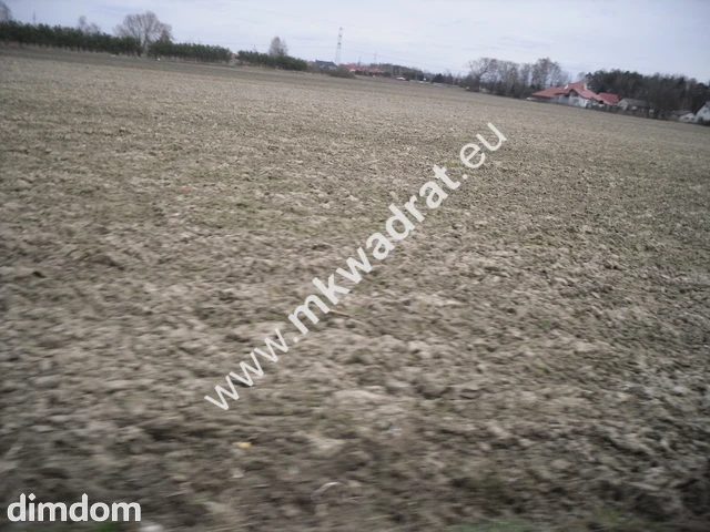 Pasikonie k.Kampinosu ciekawa oferta mkwadrat.eu - 44149849.jpg