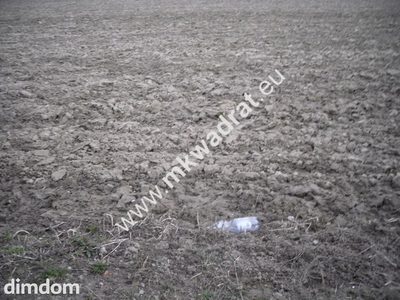 4 działki pod mini osiedle PASIKONIE / KAMPINOS