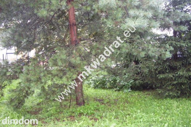 Do sprzedania dobrze prosperujacy sklep spożywczo-przemysłowy w północno- zachodnim Błoniu. Powierzchnia sklepu zajmuje 113 m2 z malym zapleczem i 50-cio metrową powierzchnią z przeznaczeniem na mies… - 18561218.jpg