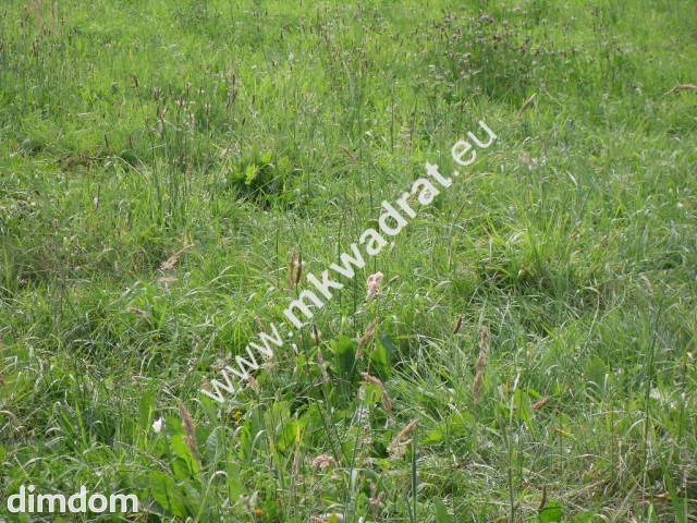 Działka Odrano-Wola - 18761146.jpg