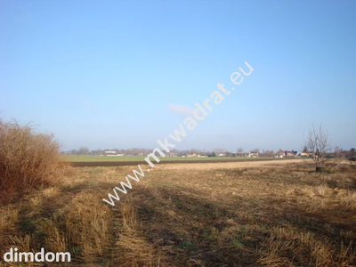 Działka w okolicach Grodziska Mazowieckiego, odległość od centrum 3 km. Teren bardzo równy, bez zadrzewień i zakrzewień. Działka przeznaczona w studium pod budownictwo jednorodzinne. Na sąsiednich dz… - 2