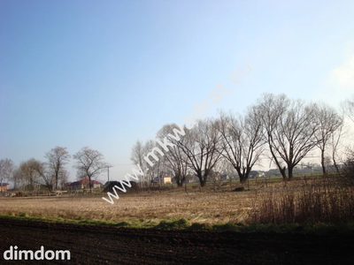 Działka Chlebnia 3km od Grodziska Maz. - 2