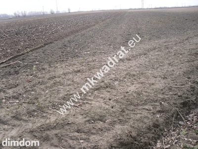 Atrakcyjna działka w Płochocinie. - 4