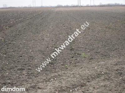 Atrakcyjna działka w Płochocinie. - 5