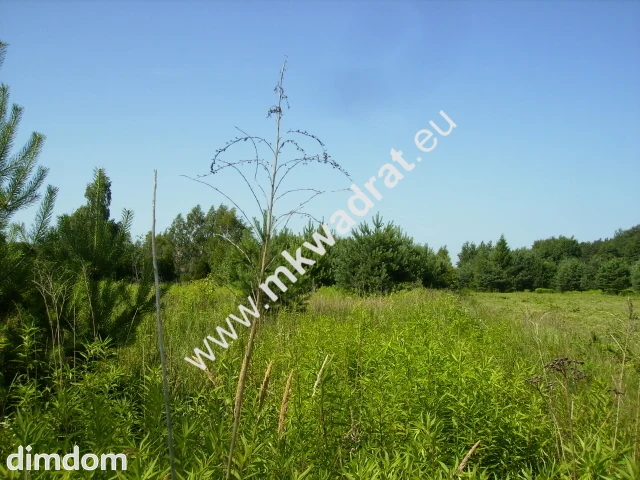 Działka w pobliżu lasu Wolica-Janki od mkwadrat.eu - 22130617.jpg