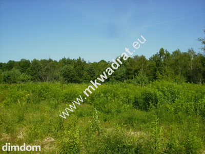 Działka w pobliżu lasu Wolica-Janki od mkwadrat.eu - 3