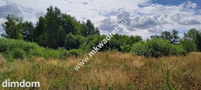 Działka budowlana, Stara Wieś, 3500 m2. MPZP - 93893087.jpg