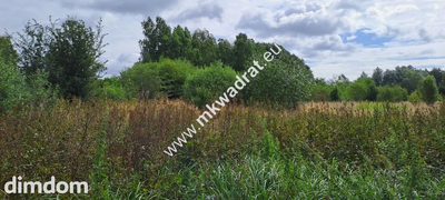 Działka budowlana, Stara Wieś, 3500 m2. MPZP - 3