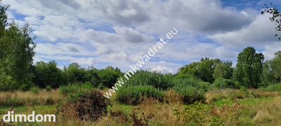 Działka budowlana, Stara Wieś, 3500 m2. MPZP - 5
