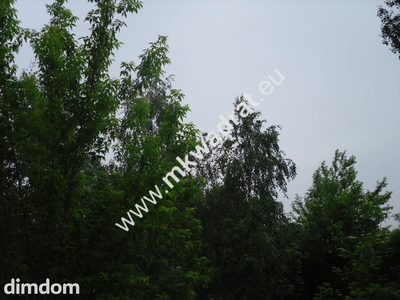 Wyjątkowo kształtna działka położona przy drodze 719 z bezpośrednim wjazdem z drogi.
