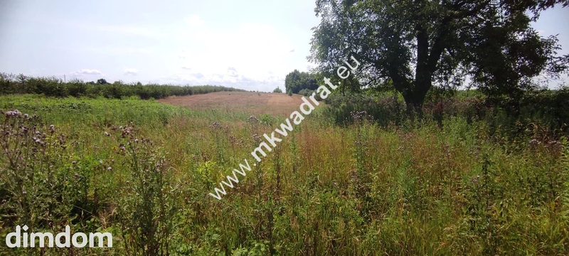 Działka siedliskowa 1,9 ha, prostokąt, media w dro - 93646873.jpg