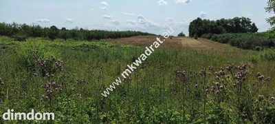 Działka siedliskowa 1,9 ha, prostokąt, media w dro - 2