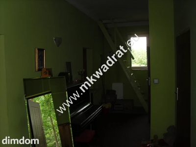 Duży potencjał, niska cena - 3