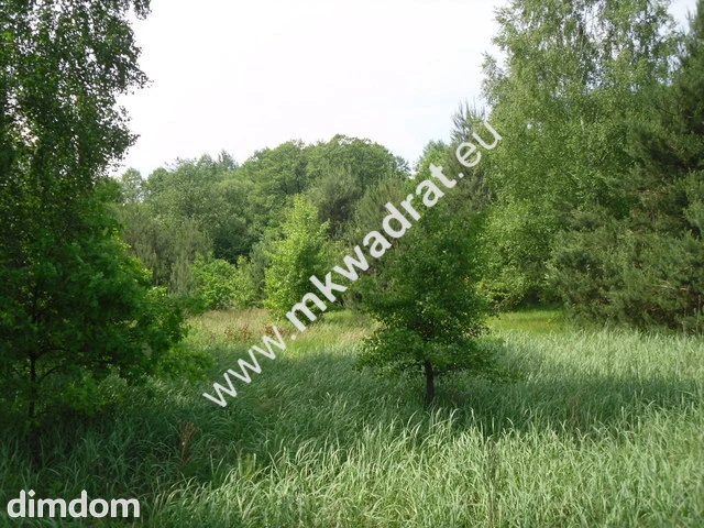 Piękna nieruchomość z możliwością podziału działu - 25443555.jpg