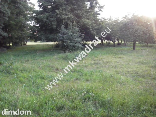 Działka budowlana położona w miejscowości Chrzanów Mały k/Milanówka. - 28499408.jpg